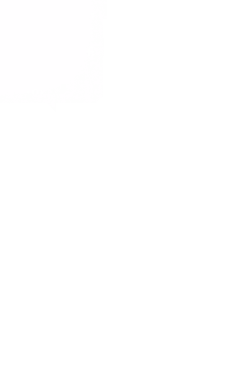 Pricing Shape